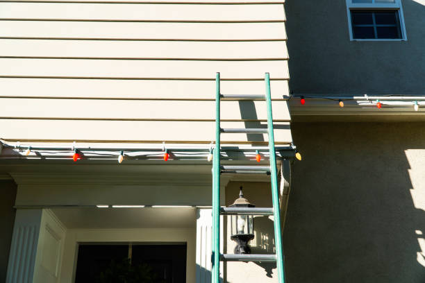 Best Residential Vinyl Siding Installation  in USA